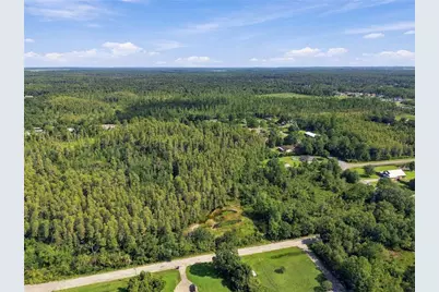 26633 Pheasant Run, Wesley Chapel, FL 33544 - Photo 46