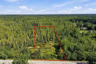 26633 Pheasant Run, Wesley Chapel, FL 33544 - Photo 1