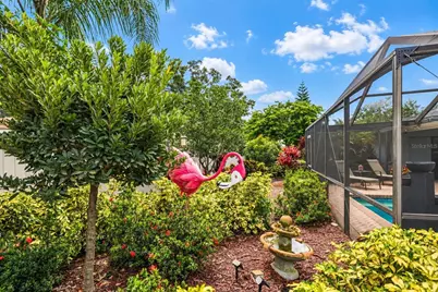 1570 Fife Court, Dunedin, FL 34698 - Photo 50
