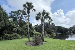 5440 Lady Bug Ln, Wesley Chapel, FL 33543 - Photo 8