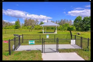 18079 Turning Leaf Cir, Land O Lakes, FL 34638 - Photo 16