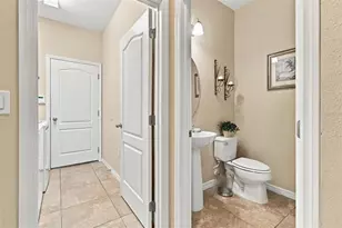 17030 Vilesta Dr, Lutz, FL 33548 - Photo 36