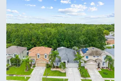 25354 Geddy Drive, Land O Lakes, FL 34639 - Photo 1
