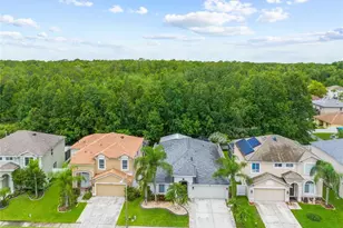 25354 Geddy Dr, Land O Lakes, FL 34639 - Photo 1