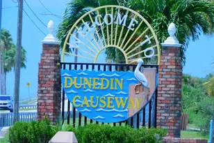 7 Dunoon Pl, Dunedin, FL 34698 - Photo 46