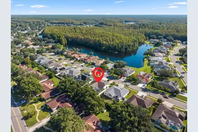2656 Saddlewood Lane, Palm Harbor, FL 34685 - Photo 46