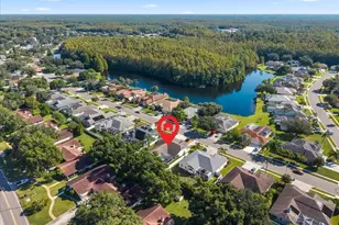 2656 Saddlewood Ln, Palm Harbor, FL 34685 - Photo 46