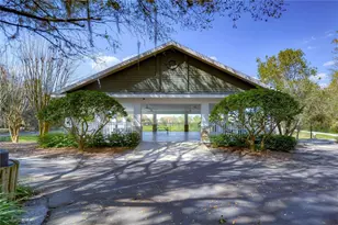 5513 Keeler Oak St, Lithia, FL 33547 - Photo 58