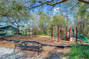 5513 Keeler Oak St, Lithia, FL 33547 - Photo 56