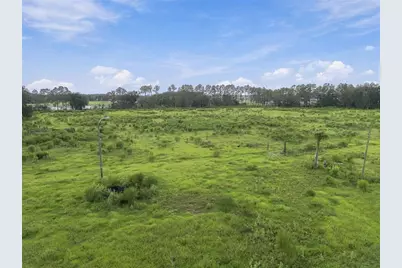 8989 Ehren Cutoff, Land O Lakes, FL 34639 - Photo 16