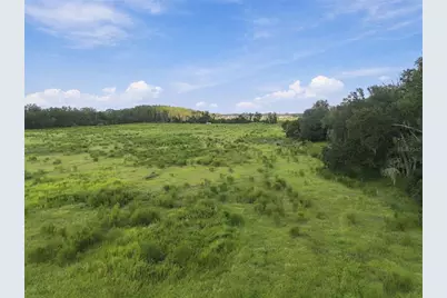 8989 Ehren Cutoff, Land O Lakes, FL 34639 - Photo 14