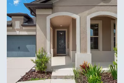 8190 Olive Brook Drive, Wesley Chapel, FL 33545 - Photo 6