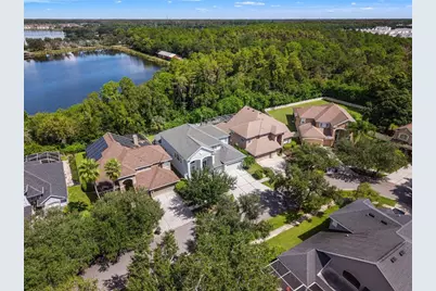 11621 Renaissance View Court, Tampa, FL 33626 - Photo 2