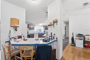 10029 Chestnut Dr, Hudson, FL 34669 - Photo 8
