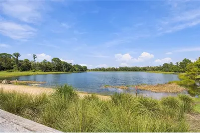 3322 Monroe Meadows Drive, Odessa, FL 33556 - Photo 66