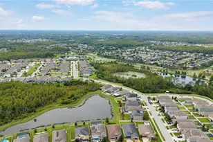 8888 Shadyside Ln, Land O Lakes, FL 34637 - Photo 44