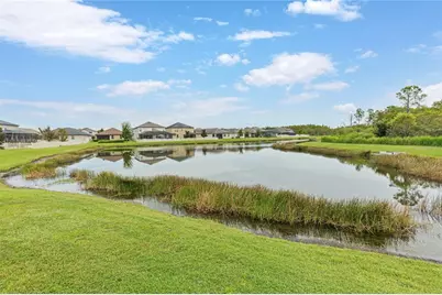 8888 Shadyside Lane, Land O Lakes, FL 34637 - Photo 24