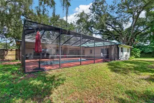 3038 Wister Cir, Valrico, FL 33596 - Photo 50