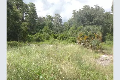 Tamarind Drive, Lake Wales, FL 33898 - Photo 1