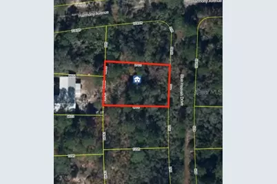 236 Blue Heaven Drive, Lake Placid, FL 33852 - Photo 2