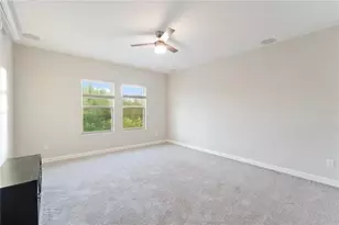 3123 Hilliard Dr, Wesley Chapel, FL 33543 - Photo 52