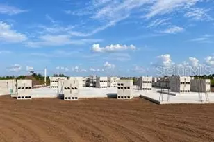 3817 Country Vw Ct, Lakewood Ranch, FL 34211 - Photo 2