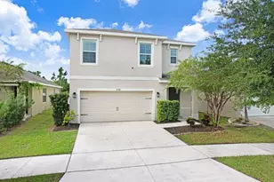10149 Geese Trail Cir, Sun City Center, FL 33573 - Photo 1