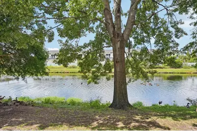 4935 White Sanderling Court, Tampa, FL 33619 - Photo 44