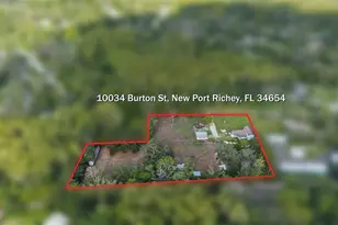 10034 Burton St, New Port Richey, FL 34654 - Photo 14