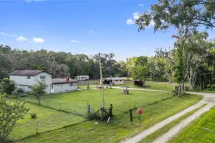 10034 Burton St, New Port Richey, FL 34654 - Photo 10