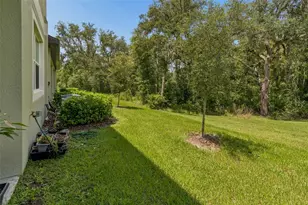 11166 Wishing Cloud Rd, Land O Lakes, FL 34638 - Photo 42