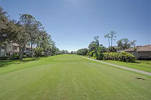 1290 Clays Trail, Oldsmar, FL 34677 - Photo 2