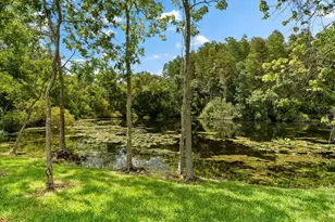 5341 Lake Pearl Ct, Tampa, FL 33625 - Photo 92