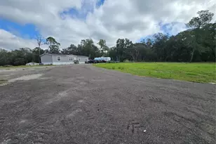 17047 Helen K Dr, Spring Hill, FL 34610 - Photo 4