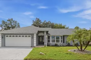 28710 Twinbrook Ln, Wesley Chapel, FL 33543 - Photo 1