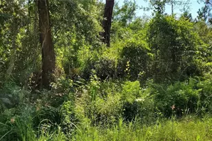 103 Bowfin Dr, Satsuma, FL 32189 - Photo 1