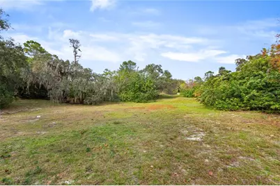 2373 Keystone Road, Tarpon Springs, FL 34688 - Photo 14