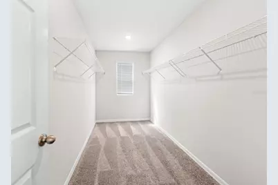 7869 Peace Lily Avenue, Wesley Chapel, FL 33545 - Photo 34