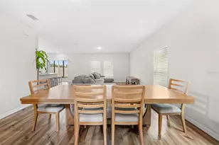 7869 Peace Lily Ave, Wesley Chapel, FL 33545 - Photo 12