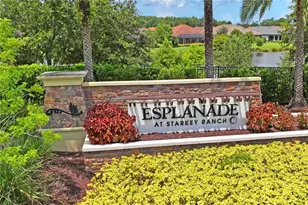 10813 Calluna Dr, Odessa, FL 33556 - Photo 56