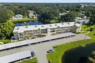 936 Virginia St, Dunedin, FL 34698 - Photo 12