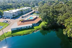 936 Virginia St, Dunedin, FL 34698 - Photo 92