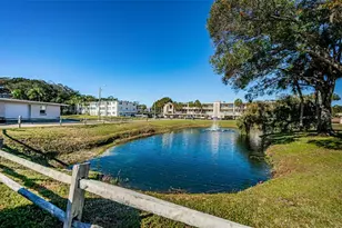 936 Virginia St, Dunedin, FL 34698 - Photo 88