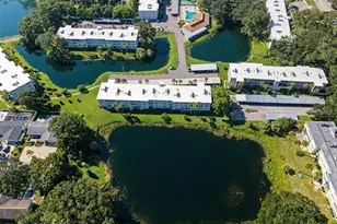 936 Virginia St, Dunedin, FL 34698 - Photo 48