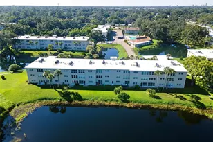 936 Virginia St, Dunedin, FL 34698 - Photo 58