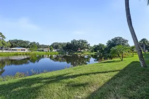 936 Virginia St, Dunedin, FL 34698 - Photo 60