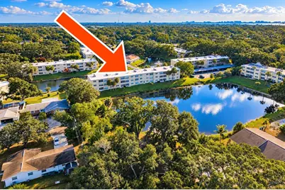 936 Virginia Street #306, Dunedin, FL 34698 - Photo 4