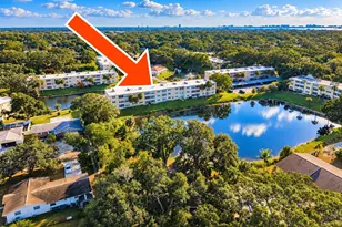 936 Virginia St, Dunedin, FL 34698 - Photo 4