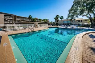 936 Virginia St, Dunedin, FL 34698 - Photo 72