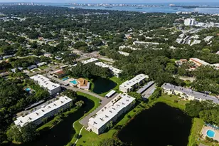 936 Virginia St, Dunedin, FL 34698 - Photo 56